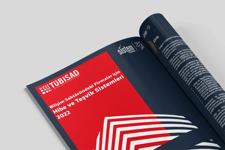 Bilişim Sektöründeki Firmalar için Hibe ve Teşvik Sistemleri